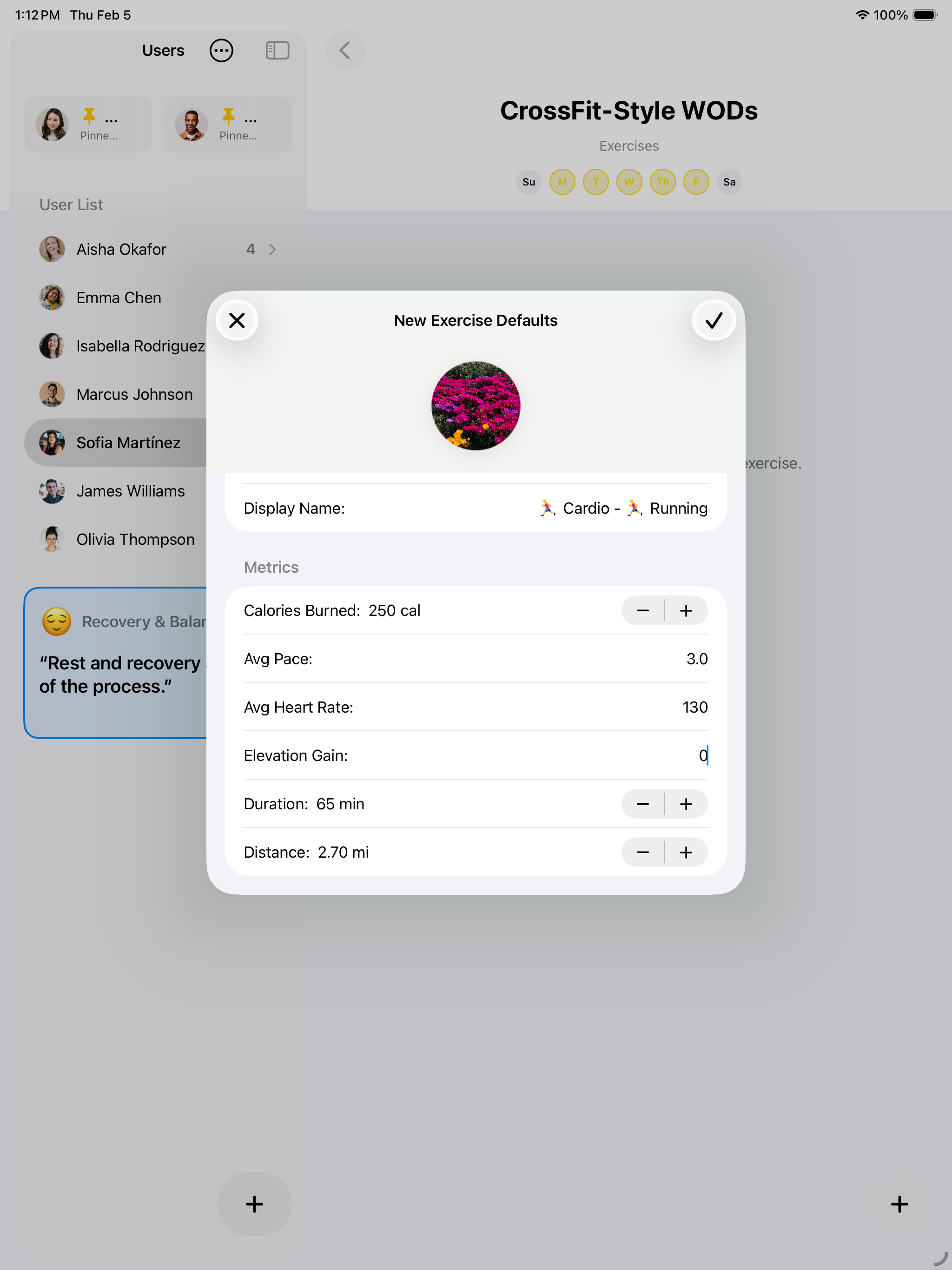 MiMotivo iPad Statistics